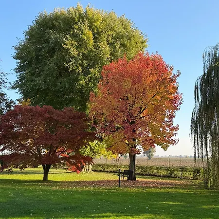 Il Salice Country Luxury Due Carrare